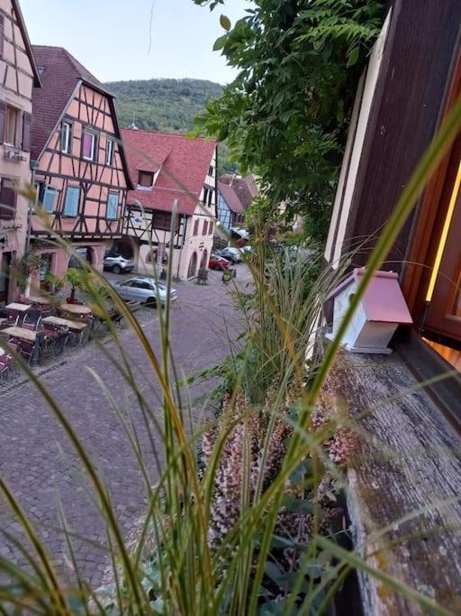 S'Gleina Gleck, In The Heart Of A Wine City, Charmant Studio 1 Piece Et 1 Salle De Bain Kaysersberg-Vignoble Eksteriør bilde